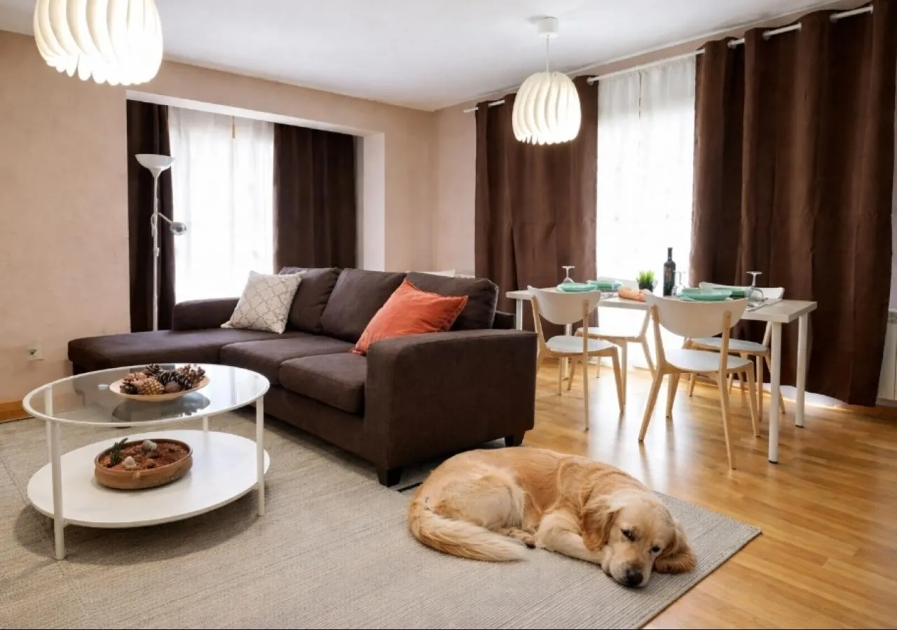 Sala perro-5732